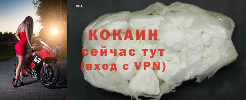 Cocaine Fish Scale  OMG tor  Екатеринбург 